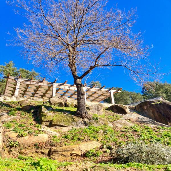 Paiva Valley Алваренга Экстерьер фото